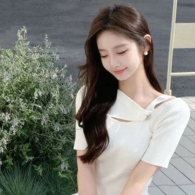 工程师普赖特的方案